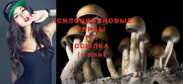 ALPHA PVP Нягань